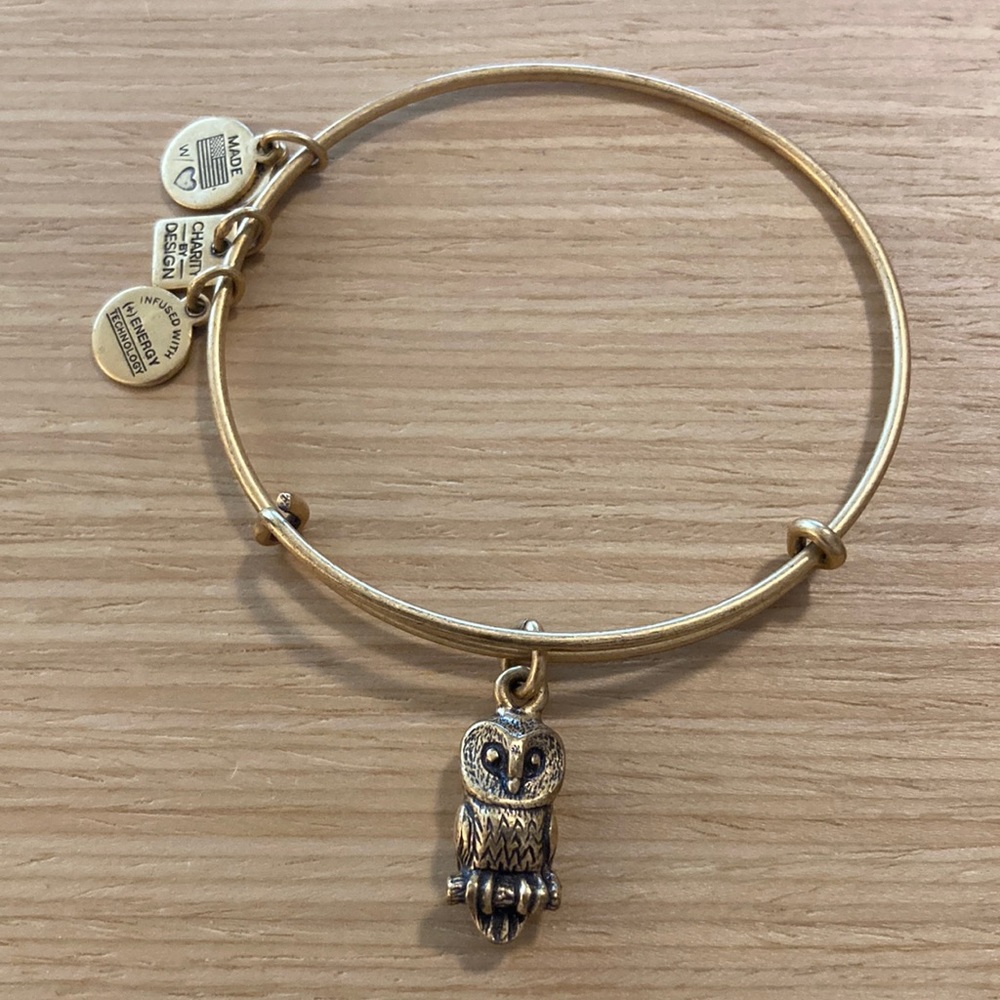Alex and Ani barn owl bracelet